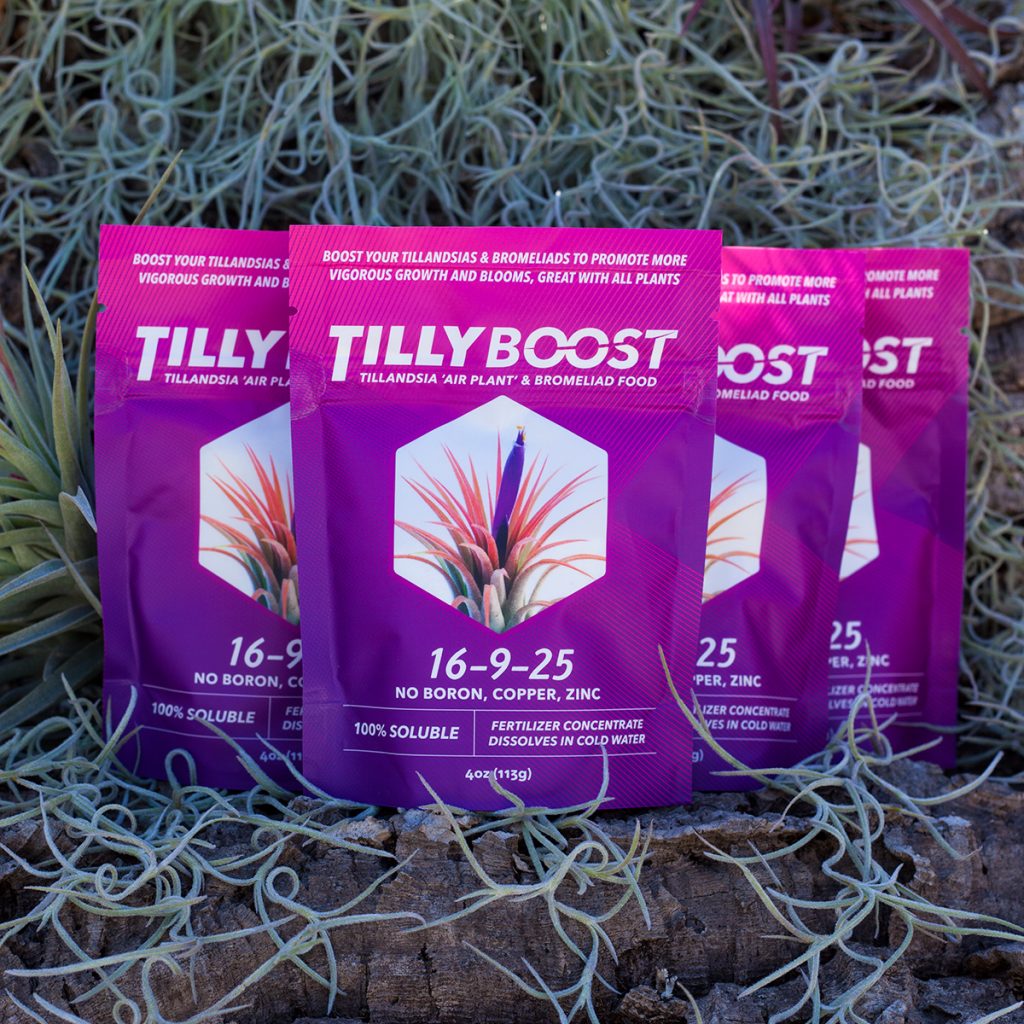 Four 4 oz pouches of Tilly Boost air plant and bromeliad fertilizer arranged on driftwood with Spanish moss air plants behind them