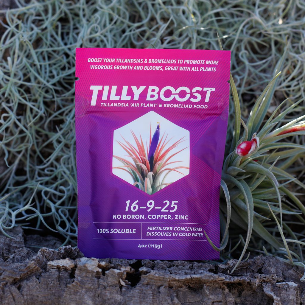 Tilly Boost 4 oz pouch of Tillandsia air plant and bromeliad fertilizer, 16-9-25 formula with no boron, copper or zinc, resting on driftwood beside a Spanish moss air plant